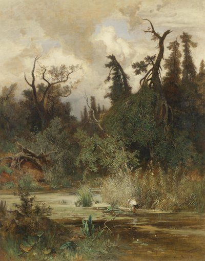 Summer in the Floodplain Forest by Hans Schühly